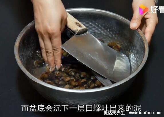 田螺怎么洗最快最干净，用香油和生姜就可以(附视频教程)