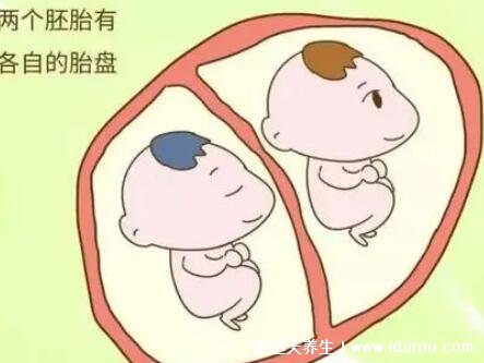 试管婴儿可以做双胞胎吗，可以且几率比自然受孕高