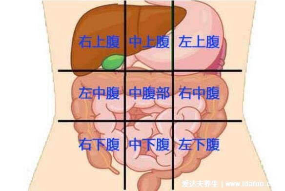 阑尾炎是哪个部位疼位置示意图片，右下腹按压痛(早期上腹肚脐疼)