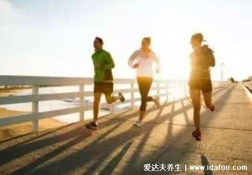 晨跑和夜跑哪个更减肥瘦身更健康，夜跑利于减肥(晚7.30到8.30)