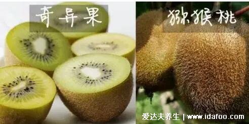奇异果和猕猴桃是同一种水果吗区别是什么，同一水果但价格有异