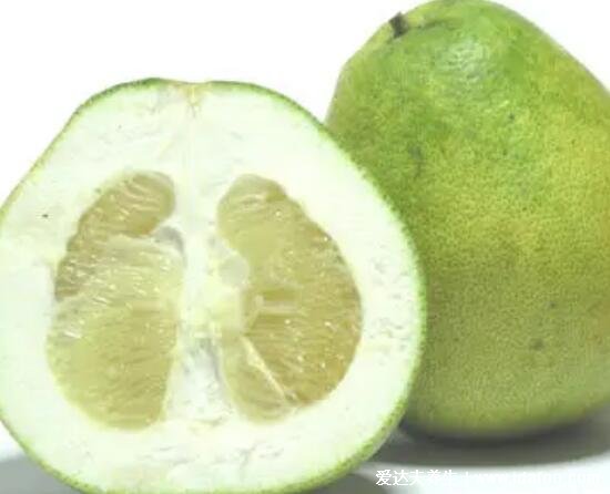 文旦和柚子的区别，文旦上面小下面大果皮是绿色(其实都是同种水果)