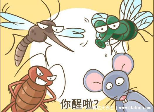 蟑螂会靠近熟睡的人吗，会最喜欢咬幼嫩的肌肤和毛发
