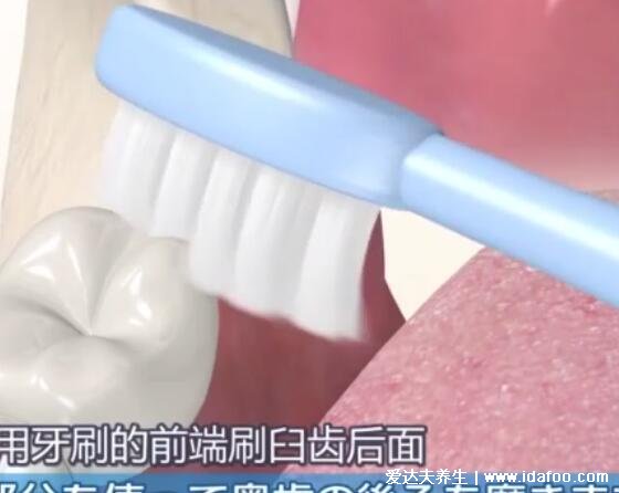 电动牙刷的正确使用方法，几个步骤教你有效刷牙(握法也重要)