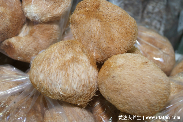猴头菇图片功效与作用，新鲜猴头菇怎么吃最养胃
