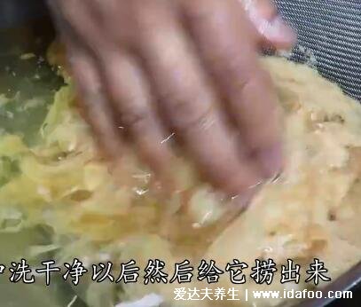 竹荪怎么吃才好吃，试试竹荪蒸鸡蛋好吃又营养(附视频做法)