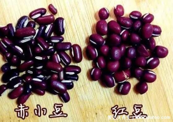 红豆与赤小豆的区别，红豆圆/赤小豆是长条(红豆薏米水用赤小豆)