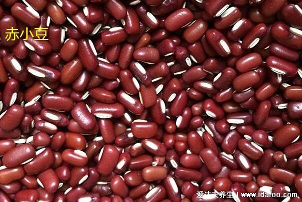 红豆薏米越喝湿气越重，一定要用赤小豆薏米需要炒一下去寒