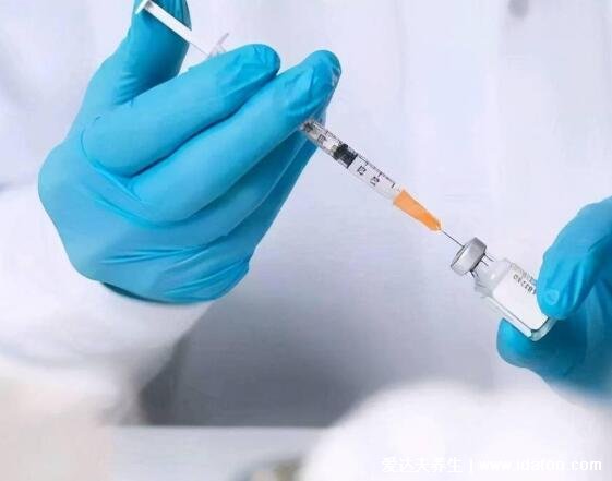 hib是什么疫苗，可预防脑膜炎的自费疫苗(6种一定要打的自费疫苗)