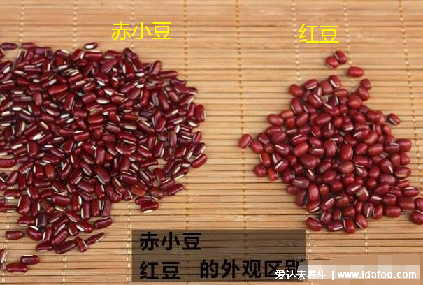 正宗赤小豆图片，红豆与赤小豆的区别一眼能看清(附功效)