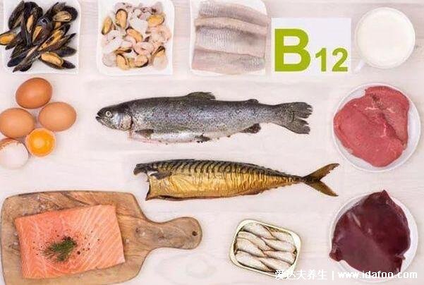 含维生素b的食物，带你了解维生素b家族的主要食物来源(动物内脏)