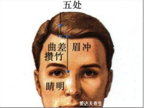 攒竹的准确位置图，眉毛内侧边缘的凹陷处(附功效作用主治)