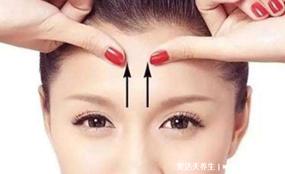 攒竹的准确位置图，眉毛内侧边缘的凹陷处(附功效作用主治)