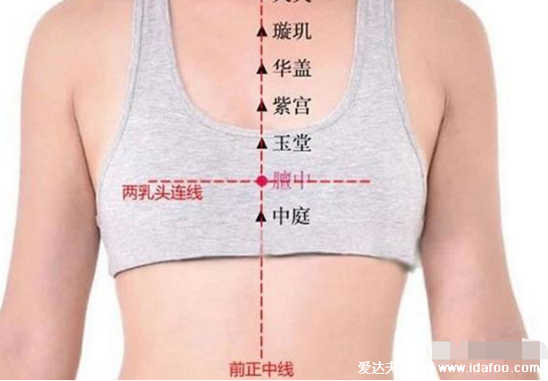 膻中穴的准确位置图，长按能丰胸美肌/两个乳头间连线的中点