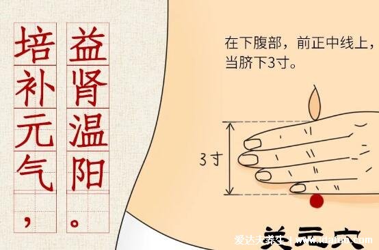 关元的准确位置图和作用，在肚脐下四指位置有按摩方法(可治痛经)