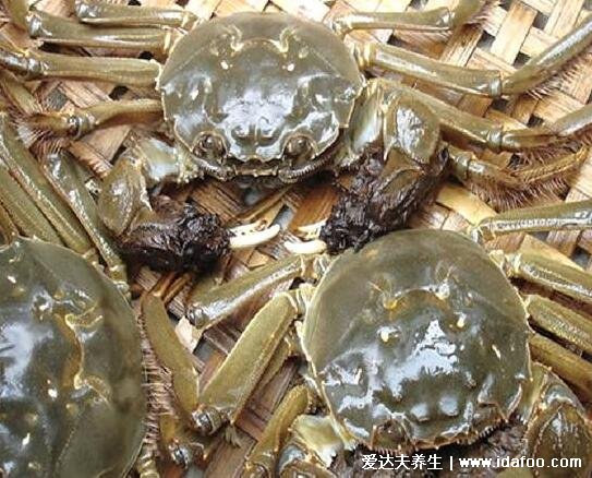 河蟹怎么保存不会死，可以用冰箱湿布保存也可水桶保存(4种方法)