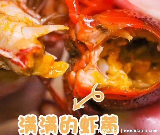 小龙虾头里的是虾黄吗，不止有虾黄还有器官以及寄生虫(不建议吃)