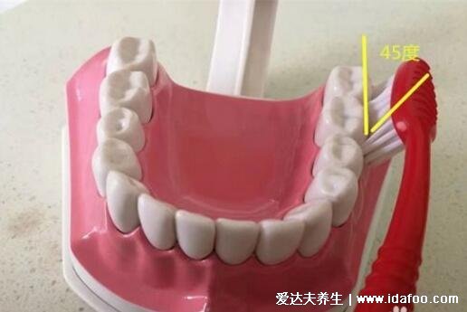 牙线的使用方法视频图解，牙线的清洁效果比牙线棒更好