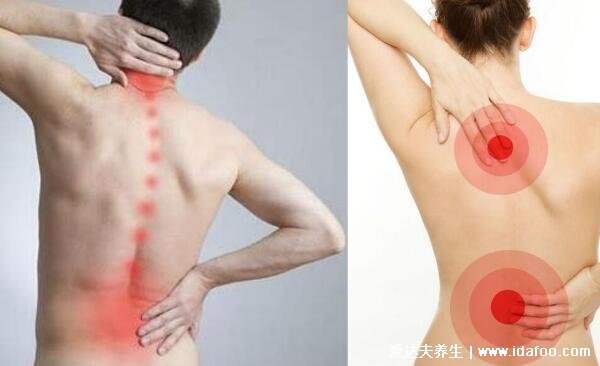 背部筋膜炎疼痛位置图，身体背部各部位疼痛对照图