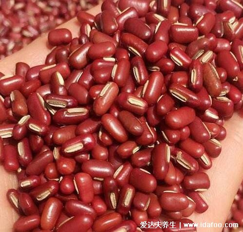 红小豆的功效与作用，可利水祛湿/补充营养/促进乳汁分泌/缓解便秘