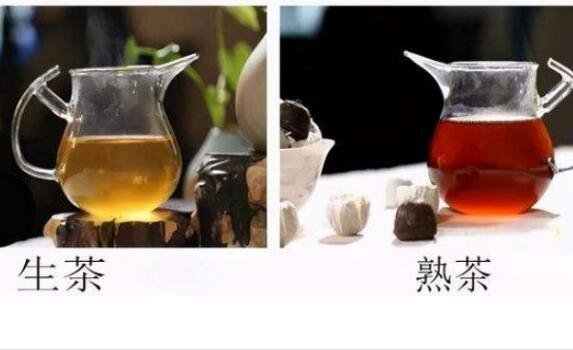 普洱生茶和熟茶的区别，普洱茶生茶好还是熟茶好(4大区别)