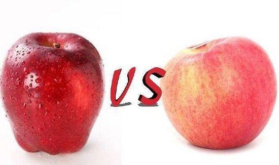 蛇果和苹果有什么区别，蛇果是记忆之果/苹果是中国水果之王(5大不同)