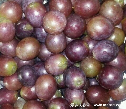 葡萄的热量是多少，100克的葡萄的热量大概在40大卡左右(吃多易胖)