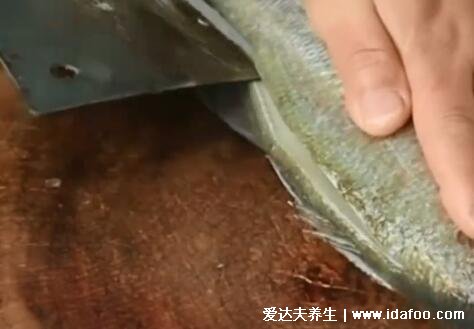 清蒸鲈鱼蒸鱼要多久，水开后可蒸12分钟(附做法视频)