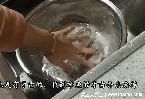 八爪鱼怎么清洗，从去除黏液到去除内脏都要注意(附清洗视频)