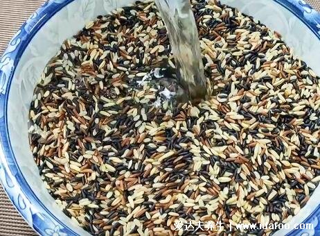 糙米怎么吃，试试五色糙米的做法(注意糙米和水比例1：1.2)