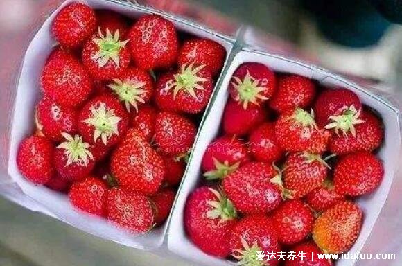 草莓是不是减肥水果，30大卡/100克低热量适量吃能减肥