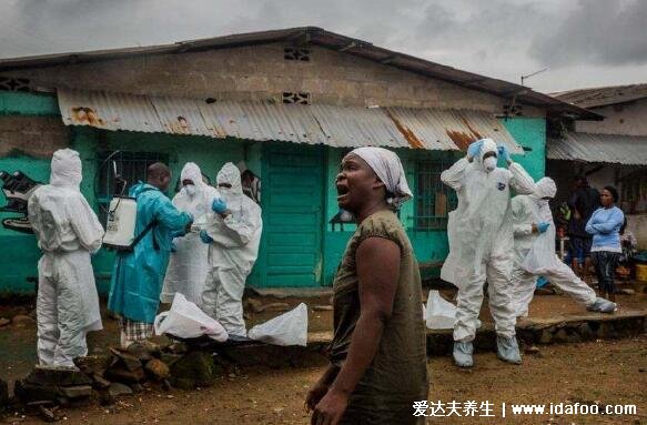 埃博拉病人融化图片，能把活人融化成一滩血水的传染病毒(胆小慎入)