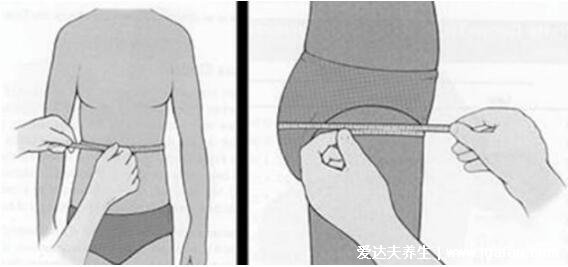 臀围怎么量标准图，软尺放在在耻骨联合和背后臀大肌最凸处