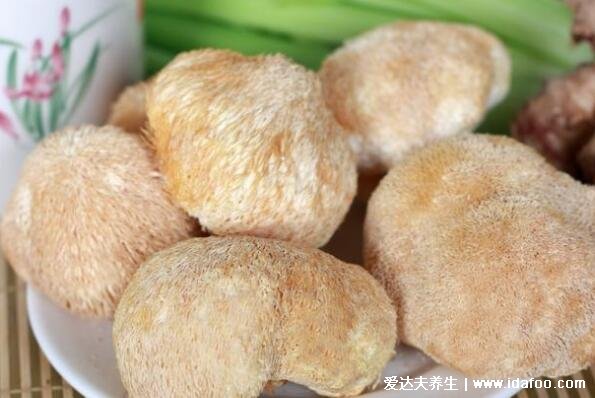 猴头菇的作用与功功效，吃猴头菇最养胃修复胃(附食用方法)