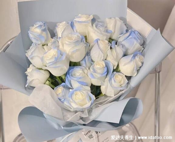 碎冰蓝玫瑰是染的吗多少钱一支，20元一朵白玫瑰染的(含花语图片)