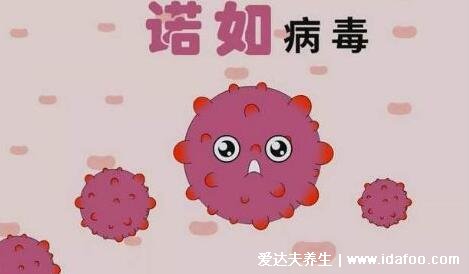 诺如病毒是什么病，诺如病毒的症状和治疗方法(腹泻呕吐为常见症状)