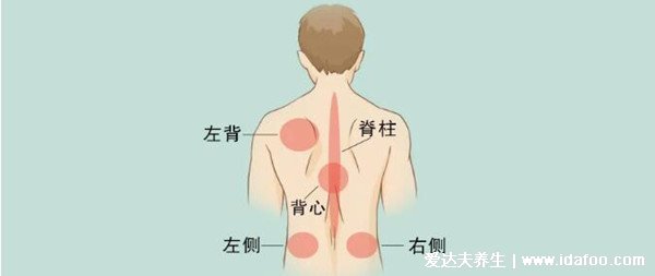男女后背疼痛位置图详解，含左右后背疼痛对照图(重视背疼原因)