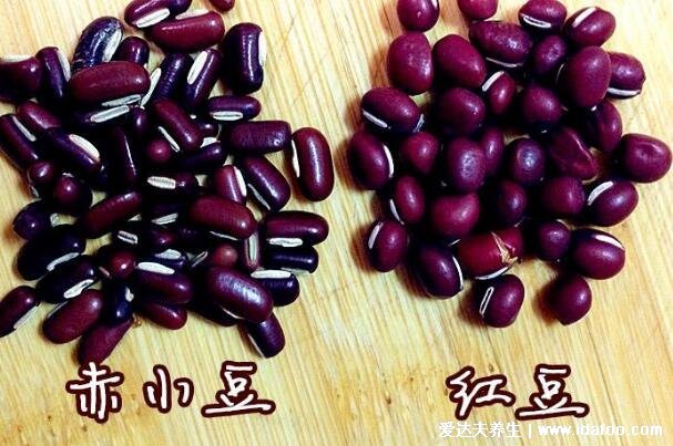 为什么红豆薏米越喝湿气越重，不要用错红豆和薏米(赤小豆健脾去湿)