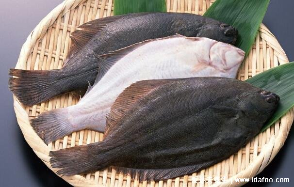 鸦片鱼为什么禁吃，哪些人不能吃鸦片鱼(没有禁只是少见)