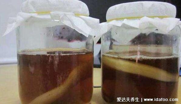 红茶菌的危害和副作用，揭秘红茶菌功效是真是假的骗局