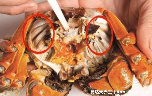螃蟹哪些部位不能吃图解高清，蟹腮/蟹心/蟹胃/蟹肠4不吃