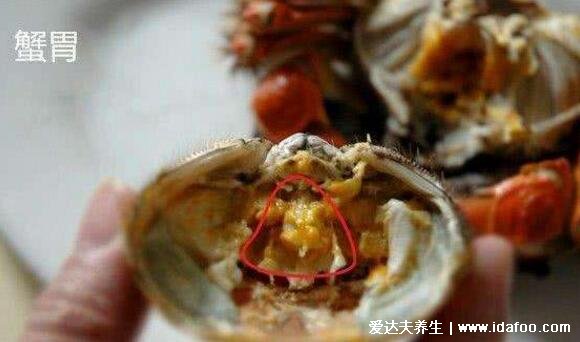 螃蟹哪些部位不能吃图解高清，蟹腮/蟹心/蟹胃/蟹肠4不吃