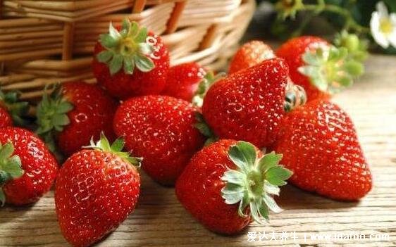 草莓什么季节成熟，中部也会出现空心的情况，2-3月份是最佳采摘季节(12月的大概率是催熟)