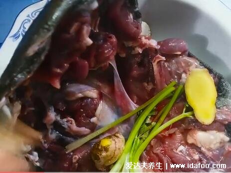 甲鱼汤怎么做好喝又营养，清汤甲鱼滋补简单做法视频(附杀甲鱼的方法)