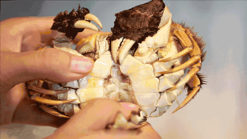新手怎么吃螃蟹图解，手把手教你螃蟹哪些部位不能吃图解高清