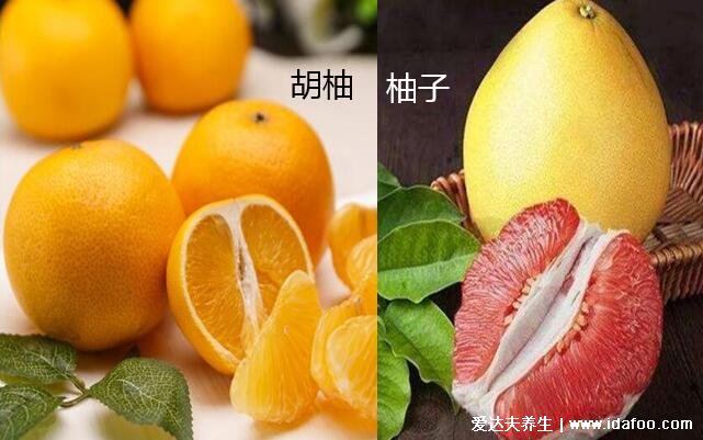 胡柚和柚子的区别图片，胡柚味道苦涩个头小可入药(附功效)
