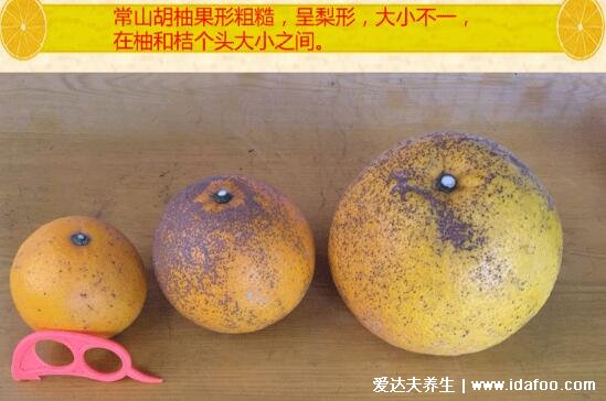 胡柚和柚子的区别图片，胡柚味道苦涩个头小可入药(附功效)