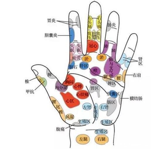 手部反射区图解与疾病高清图大全，手部6大经络清晰图片