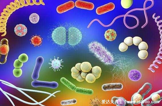 病毒感染和细菌感染的区别，病毒是清鼻涕/细菌是黄鼻涕(4大不同)