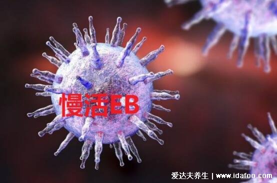 eb病毒是什么病毒严重吗，亲吻病和流感的区别症状(高烧/皮疹)